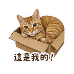 微胖的電子橘貓咪納