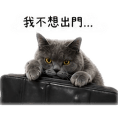 包子饅頭奶茶不想上班系列