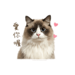 咪嚕醬醬