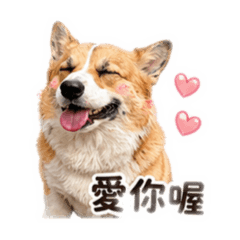 我是Q寶 Q寶是我