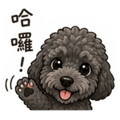 Cindy的cookie