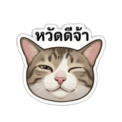 Cat Tuay Foo_20260428042005