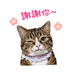 點點打招呼囉