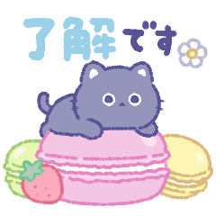 Pastel*Adult-cute black cat*for everyday