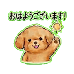 My dear Momo-chan