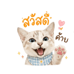 Thitirat_20260429162258
