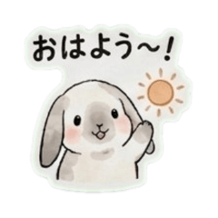 Mashiro the Bunny