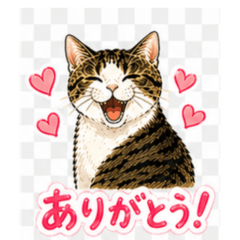 Cute & Useful Cat Stickers Everyday Use
