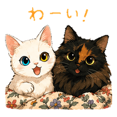 Odd-eyed white cat & fluffy black cat