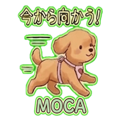 MOCA_Noda_family
