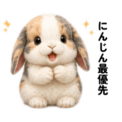 Pomu-chan the Bunny (Fluffy Plush)