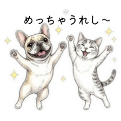 knock on wood-dog&cat