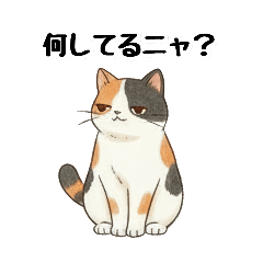 Cute Calico Cat: Relaxed Da