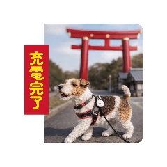 Nozomi_positive words1