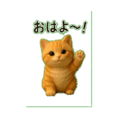 noko Orange tabby cat