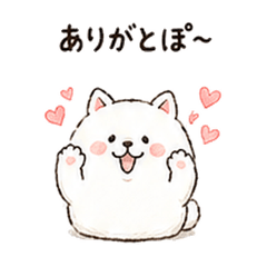 Poppo the Chubby Shiba