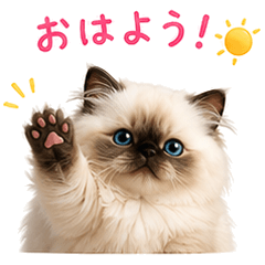 Fluffy Cat Daily Greetings Stickers