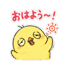 Cute & Chill Bird