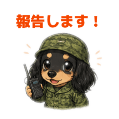REPEATER_20260430144953