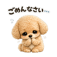 Timid but Trying Toy Poodle