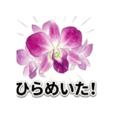 manami_20260430152202ohana