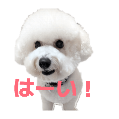 kurosan_20260430152602