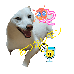 baron_20260430152358