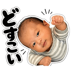 ERIKA_20260430152246