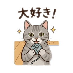 NoB_20260430152911