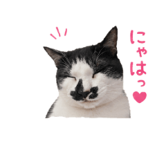maguro_20260430153048