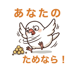 BUNCHO_20260430153526