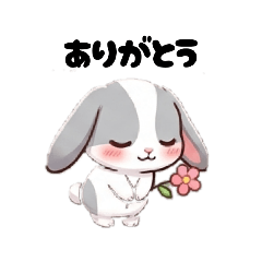 omochi-2026