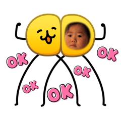moyo_20260430153627