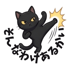 A straightforward black cat