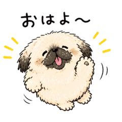 Fluffy Mess Pekingese Daily Stickers(Re)