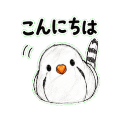 Pino 01