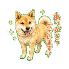 ken - Daily Chat Stickers