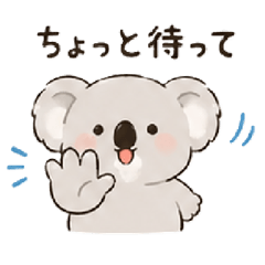A cute, grown-up koala.