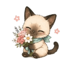Fluffy Siamese: Sweet & Healing Hugs
