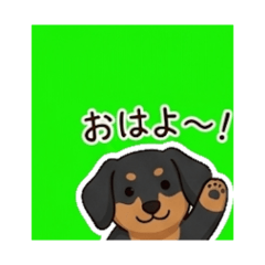 inuunu1212