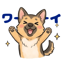The mischievous German Shepherd