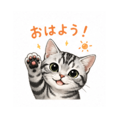 American shorthair - Daily Chat Stickers