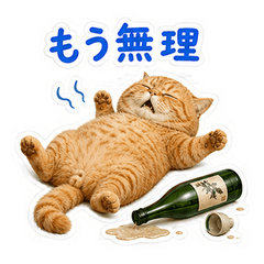 Grumpy Bottle Cat: Nonbe