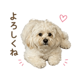 Fluffy ROKU vol.1