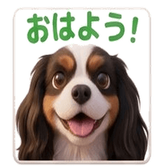 Cute Cavalier Kotaro