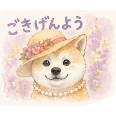 Happy the Shiba Inu -Everyday Stickers
