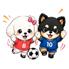 noir&coco soccer sticker