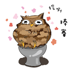 owl owl's daily