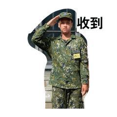 偶素陳禹程