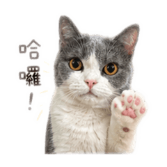 咻咻的日常^^